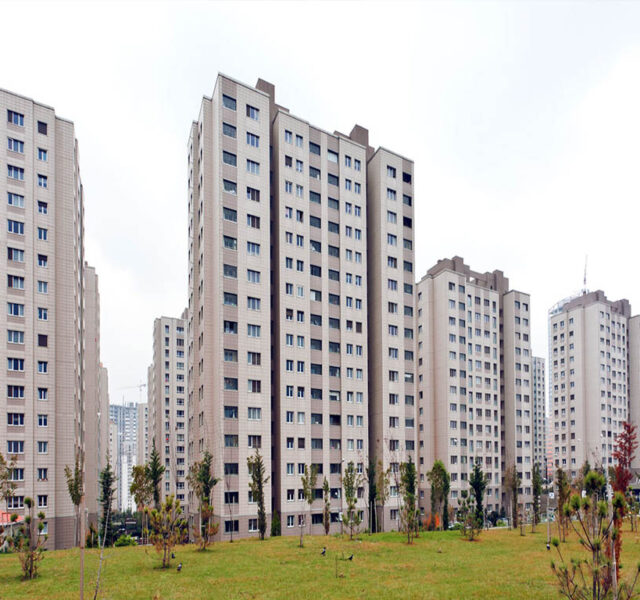 kent plus1 - Portfolios