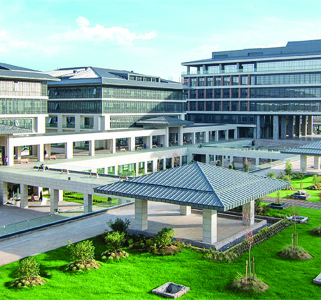 29 Mayis Universitesi - Portfolios