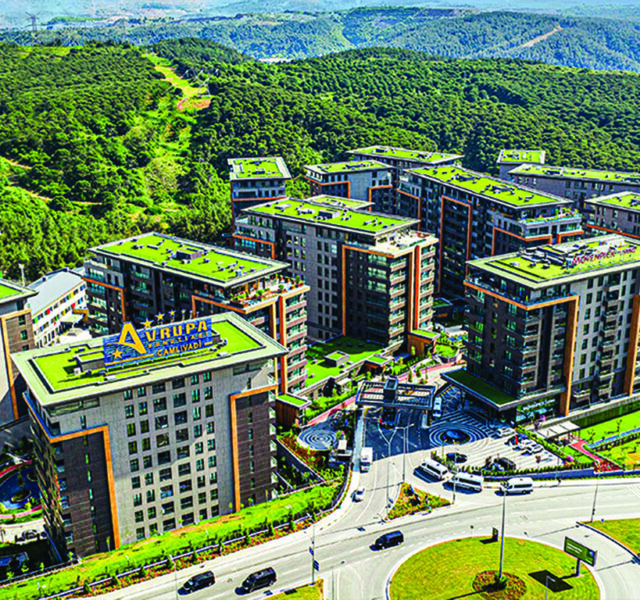 Camli Vadi2 - Portfolios