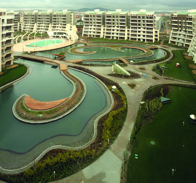 Sinpas Kelebekia - Portfolios