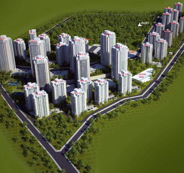 tokiincek - Portfolios