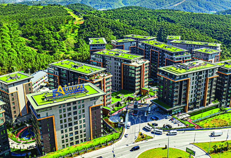 Camli Vadi2 - Portfolios